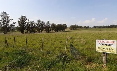 4 FRACCIONES EN VENTA EN LA PEREGRINA - 2 DE 1.5 HAS - 2  DE 3 HAS.