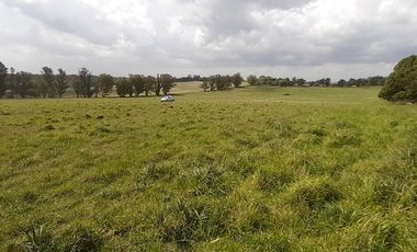 4 FRACCIONES EN VENTA EN LA PEREGRINA - 2 DE 1.5 HAS - 2  DE 3 HAS.