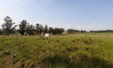 4 FRACCIONES EN VENTA EN LA PEREGRINA - 2 DE 1.5 HAS - 2  DE 3 HAS.