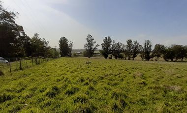 4 FRACCIONES EN VENTA EN LA PEREGRINA - 2 DE 1.5 HAS - 2  DE 3 HAS.