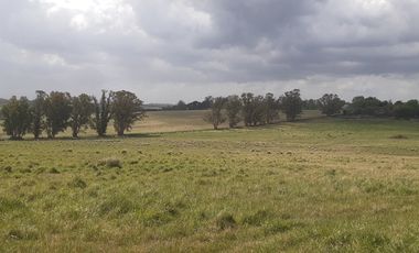 4 FRACCIONES EN VENTA EN LA PEREGRINA - 2 DE 1.5 HAS - 2  DE 3 HAS.