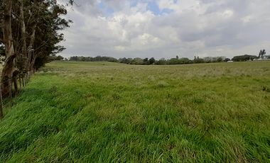 4 FRACCIONES EN VENTA EN LA PEREGRINA - 2 DE 1.5 HAS - 2  DE 3 HAS.