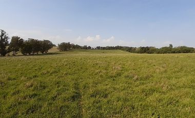 4 FRACCIONES EN VENTA EN LA PEREGRINA - 2 DE 1.5 HAS - 2  DE 3 HAS.