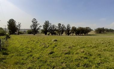 4 FRACCIONES EN VENTA EN LA PEREGRINA - 2 DE 1.5 HAS - 2  DE 3 HAS.