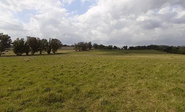 4 FRACCIONES EN VENTA EN LA PEREGRINA - 2 DE 1.5 HAS - 2  DE 3 HAS.