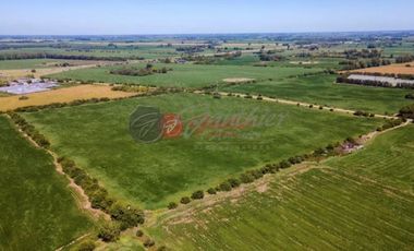 Terreno / Lote en venta de 205000m2 ubicado en Zárate