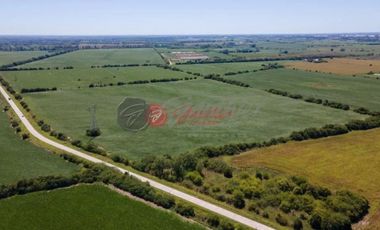 Terreno / Lote en venta de 205000m2 ubicado en Zárate