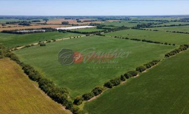 Terreno / Lote en venta de 205000m2 ubicado en Zárate