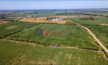 Terreno / Lote en venta de 205000m2 ubicado en Zárate
