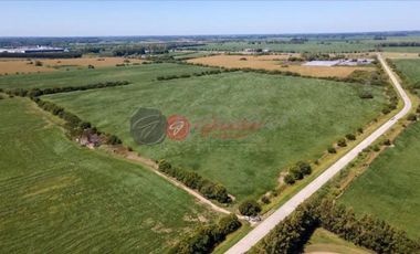 Terreno / Lote en venta de 205000m2 ubicado en Zárate