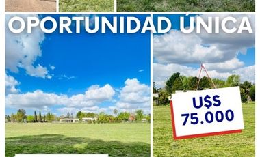 Terreno / Lote en venta de 1129.4m2 ubicado en Roldán