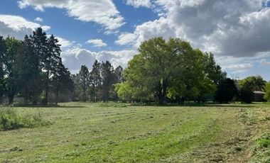 Terreno / Lote en venta de 1129.4m2 ubicado en Roldán