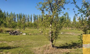 Casa quinta en venta de 10500m2 ubicado en Contralmirante Cordero