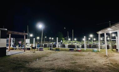 Kartodromo - Fondo De Comercio - Lote Propio - Negocio En Venta- En General Lavalle