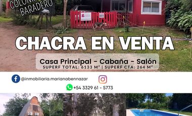 CHACRA - EL VARADERO - COLONIA SUIZA - BARADERO