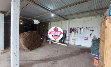 CHACRA - EL VARADERO - COLONIA SUIZA - BARADERO