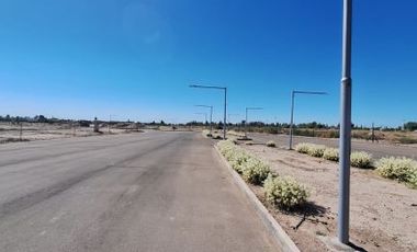 Villanueva y Juan Bautista