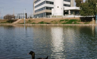 Villanueva y Juan Bautista