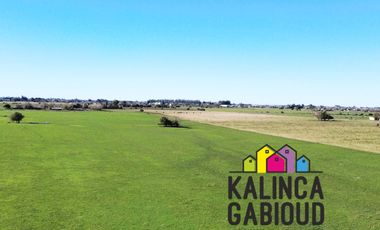 Campo en venta de 59900m2 ubicado en Villa Elisa