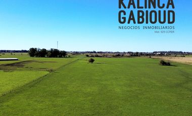 Campo en venta de 59900m2 ubicado en Villa Elisa