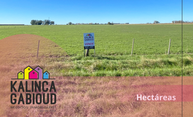 Campo en venta de 59900m2 ubicado en Villa Elisa