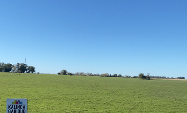 Campo en venta de 59900m2 ubicado en Villa Elisa