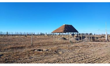 Terreno En Venta San Rafael Mendoza