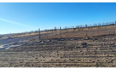 Terreno En Venta San Rafael Mendoza