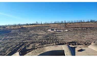 Terreno En Venta San Rafael Mendoza