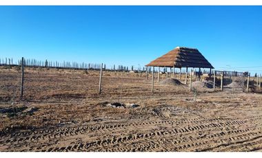 Terreno En Venta San Rafael Mendoza