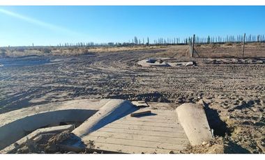 Terreno En Venta San Rafael Mendoza