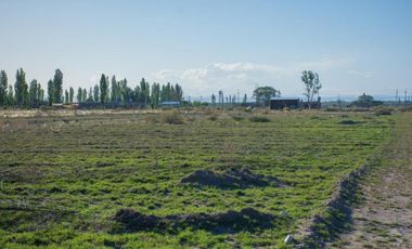 Terreno En Venta San Rafael Mendoza