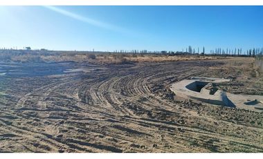 Terreno En Venta San Rafael Mendoza