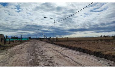 Terreno San Rafael Mendoza - Venta