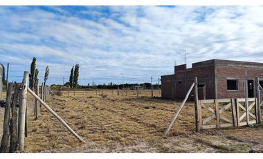 Terreno San Rafael Mendoza - Venta