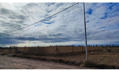 Terreno San Rafael Mendoza - Venta