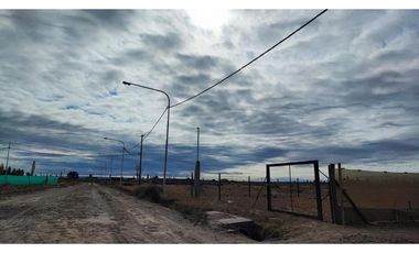 Terreno San Rafael Mendoza - Venta