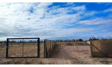 Terreno San Rafael Mendoza - Venta