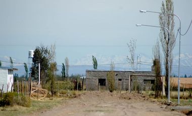 Terreno San Rafael Mendoza - Venta