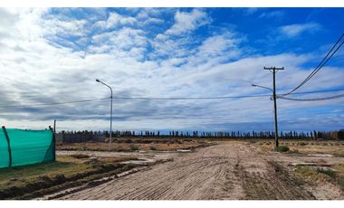 Terreno San Rafael Mendoza - Venta