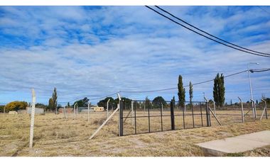 Terreno San Rafael Mendoza - Venta