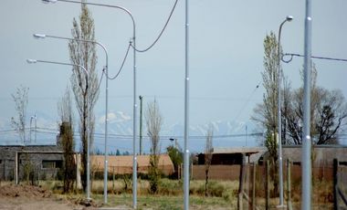 Terreno San Rafael Mendoza - Venta