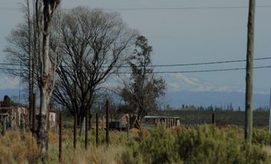 Terreno San Rafael Mendoza - Venta