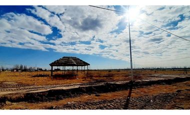 Terreno/ Lote En Venta San Rafael Mendoza