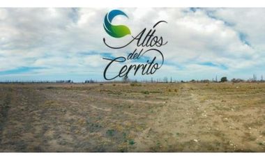 Terreno/ Lote En Venta San Rafael Mendoza