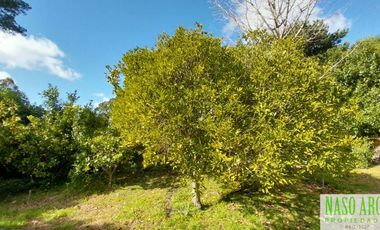 OPORTUNIDAD en Sierra de los Padres. Casa en venta  Zona Torre Tanque
