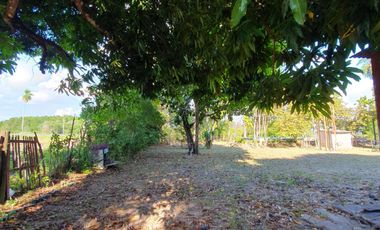 San Cosme - Casa quinta en venta