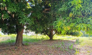 San Cosme - Casa quinta en venta