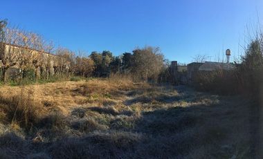 Galpón en alquiler de 4200m2 ubicado en Centro