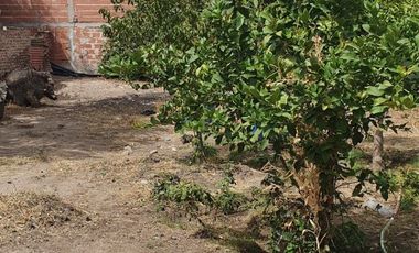 Casa en venta en Cinco Saltos